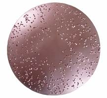 Disc abraziv HMT, D230mm, fin, nr. 605 pentru ROKAMAT TITANO/HERON, Z0605