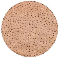 HMT-Schleifscheiben d= 200mm grob für ROKAMAT CHAMELEON/CHAMELEON CX per Paar, Z22905