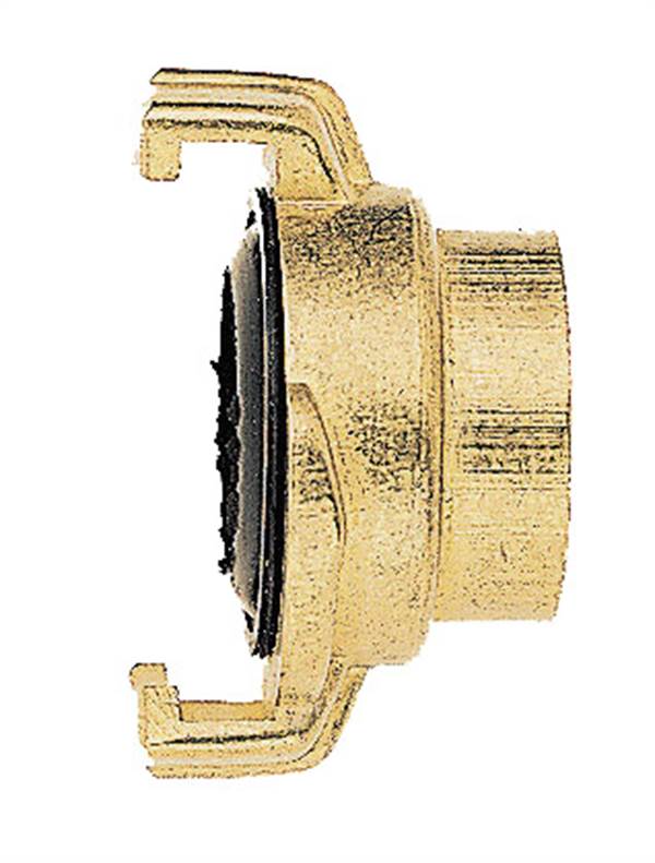 Cuplaj-gheară GEKA® cu F.Int., 1", 170buc/cutie, Z2514
