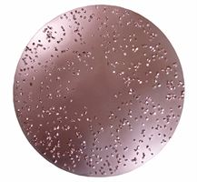 Disc abraziv HMT, D230mm, mediu, nr. 606 pentru ROKAMAT TITANO/HERON, Z606